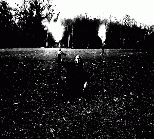 Sale Freux : Le Dernier Corbeau du Monde